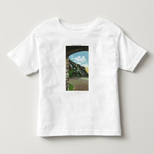 頂上から階段を降ろしている女性 トドラーTシャツ (正面)
