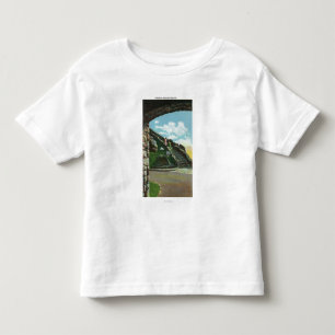頂上から階段を降ろしている女性 トドラーTシャツ