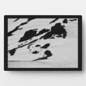 頂上への七人 フォトプラーク (正面)