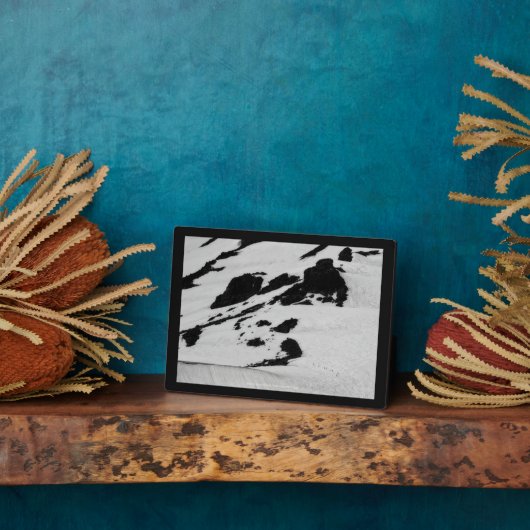 頂上への七人 フォトプラーク (側面)