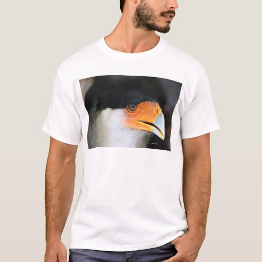 頂点に達されたカラカラのタカの頭部の打撃の写真の写真 Tシャツ (正面)