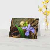 頂点に達された小型アイリス青い紫色の白い花 カード (黄色い花)