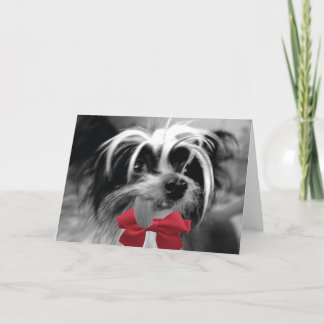 頂点に達するクリスマス(私) シーズンカード