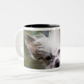 頂点に達する中国語は後をつけます(毛のない) ツートーンマグカップ (正面左)