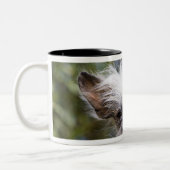 頂点に達する中国語は後をつけます(毛のない) ツートーンマグカップ (左)