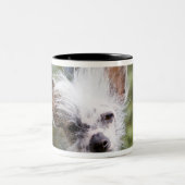 頂点に達する中国語は後をつけます(毛のない) ツートーンマグカップ (中央)