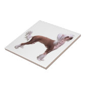 頂点に達する中国語 タイル (側面)