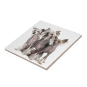 頂点に達する中国語 タイル (側面)