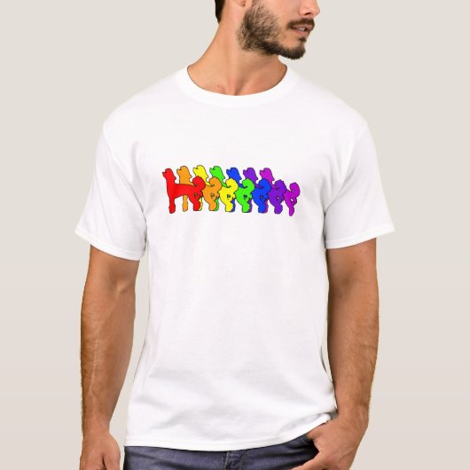 頂点に達する虹の中国語 Tシャツ (正面)