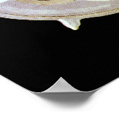 頂点電球サクラカットアートルシアンBernhardt ポスター (角)