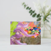 頂点 ポストカード (スタンド正面)