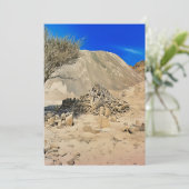 頑丈で乾燥した風景 シーズンカード (スタンド正面)