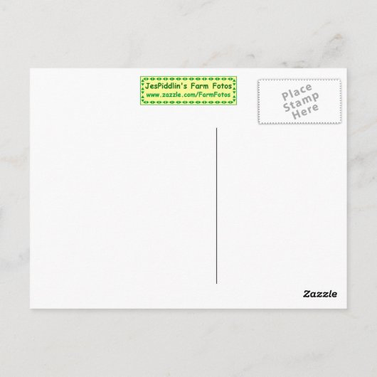 頑丈な納屋のはがき ポストカード (裏面)