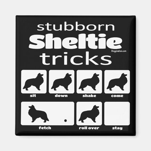 頑固なシェットランド・ シープドッグトリック マグネット (正面)