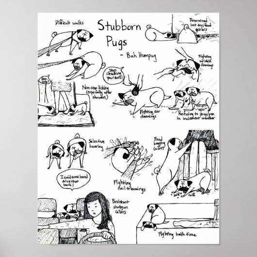 頑固なパグ ポスター (正面)