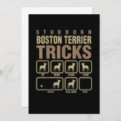 頑固なボストン・テリアのトリック犬好きTシャツ 案内状 (正面/裏面)