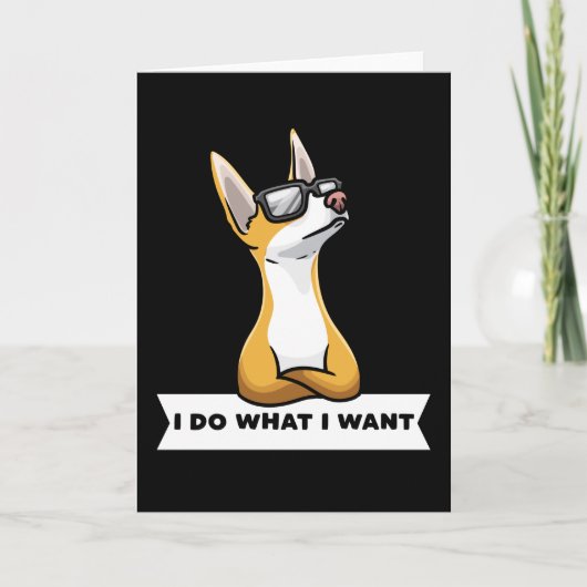 頑固ポデンコ犬 カード (正面)