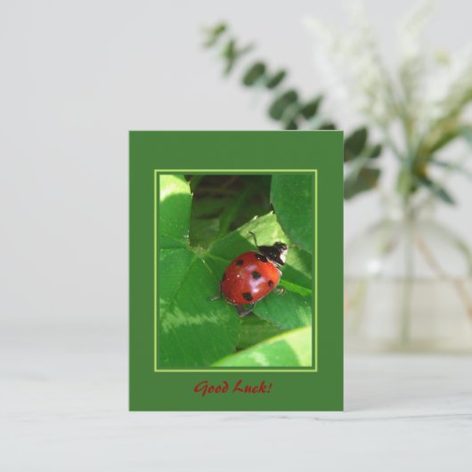 頑張れ！ ポストカード (スタンド正面)