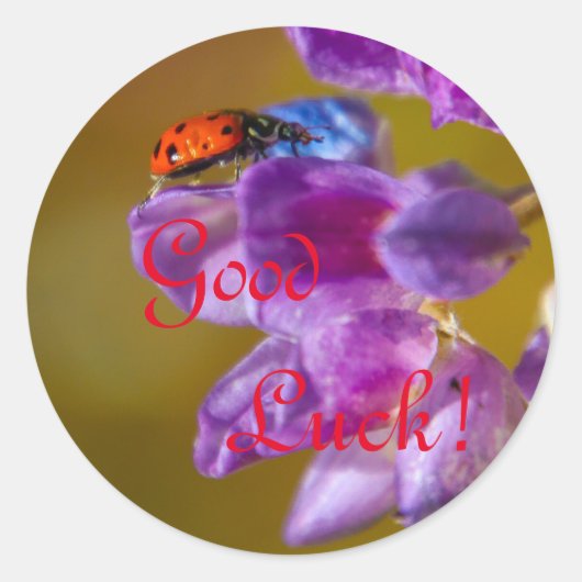 頑張れ！ ラウンドシール (正面)