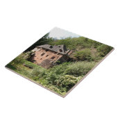 領主の邸宅(写真)の眺め タイル (側面)