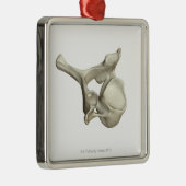 頚部椎骨 メタルオーナメント (右)