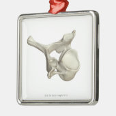 頚部椎骨 メタルオーナメント (左)