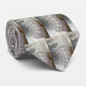 頚部脊柱のタイ ネクタイ (ロール)