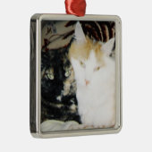 頬と頬の両猫の居心地のいい写真 メタルオーナメント (右)