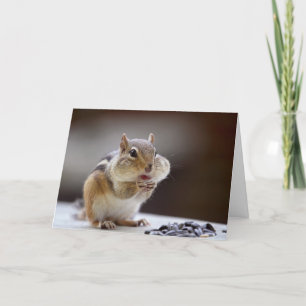 頬の完全な写真が付いているシマリス カード