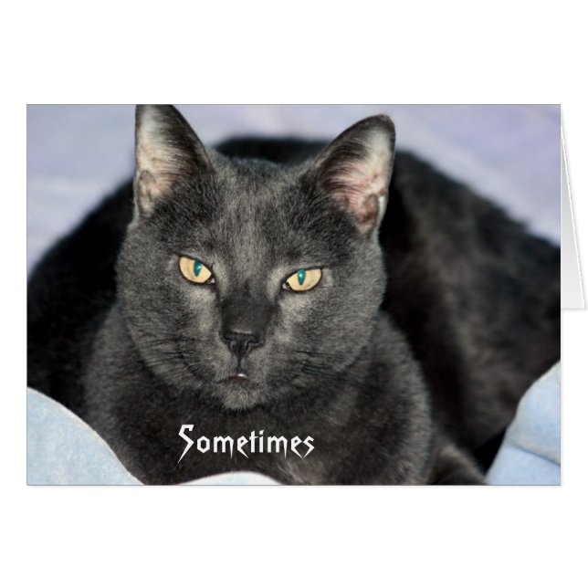 頭おもしろいを振る (正面横)