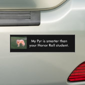 頭が切れるなPyr バンパーステッカー (車上)