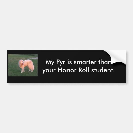 頭が切れるなPyr バンパーステッカー (正面)