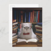 頭が切れる卒業猫 案内ポストカード (正面/裏面)