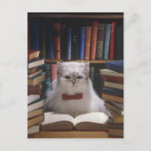 頭が切れる卒業猫 案内ポストカード (正面)