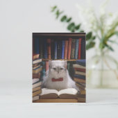 頭が切れる卒業猫 案内ポストカード (スタンド正面)