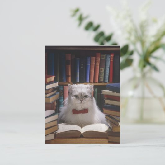 頭が切れる卒業猫 案内ポストカード (スタンド正面)