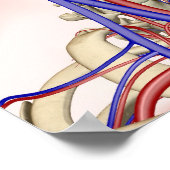 頭と首の動脈と静脈 ポスター (角)