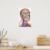 頭と首の動脈と静脈 ポスター (キッチン)