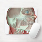 頭と首の筋肉のスケルトン3 マウスパッド (マウス)