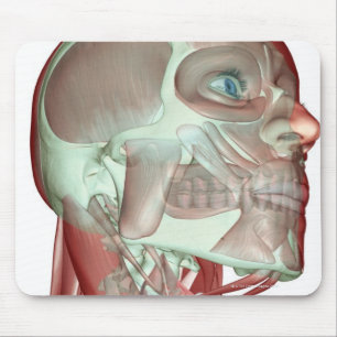 頭と首の筋肉のスケルトン3 マウスパッド