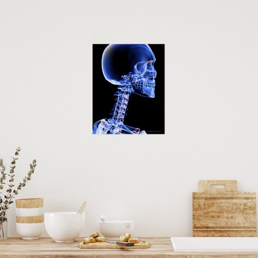 頭と首の骨 ポスター (キッチン)