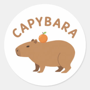 頭にオレンジのカピバラ かわいい ミニマリスト ミーム ラウンドシール