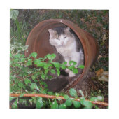 頭に保雨が降る！ タイル (正面)