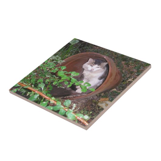 頭に保雨が降る！ タイル (側面)