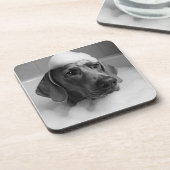 頭に泡を立てて風呂に入るワイマラン コースター (左側)