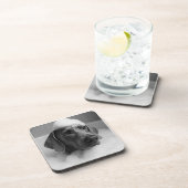 頭に泡を立てて風呂に入るワイマラン コースター (右側)