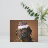 頭に誕生日の冠をかぶった犬 ポストカード (スタンド正面)