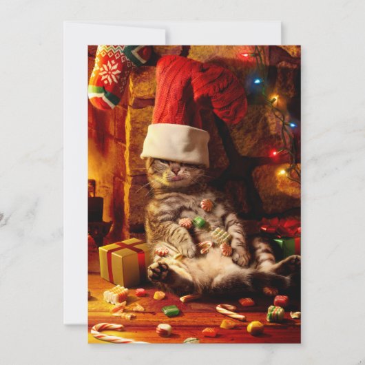 頭に靴下をかぶった猫 招待状 (正面)