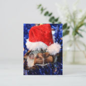 頭の上にサンタハットのラゾバックムスクカメ シーズンポストカード (スタンド正面)