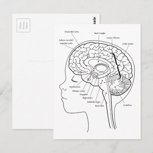 頭の中のもの ポストカード (正面/裏面)